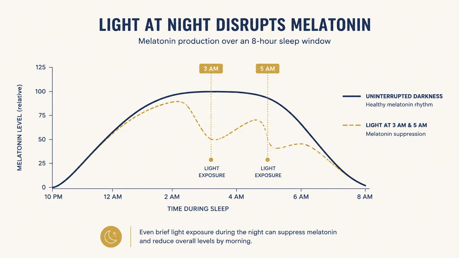 Simple diagram showing melatonin levels across a night with and without light exposure, two overlapping line charts